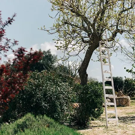 Trullo Dei Cinque Affittacamere Cisternino