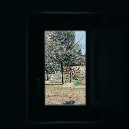 Trullo Dei Cinque 招待所