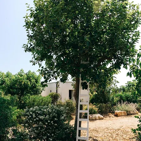 Gæstehus Trullo Dei Cinque *