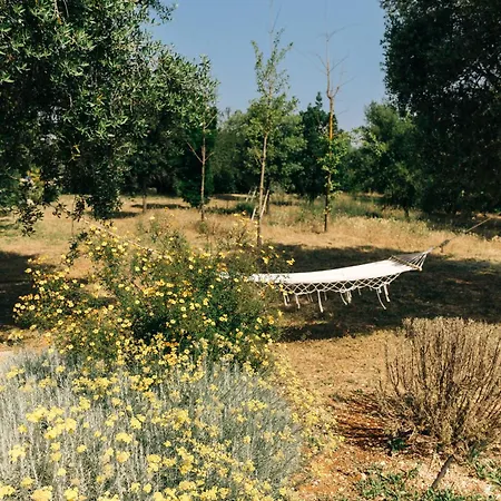 Trullo Dei Cinque Gæstehus Cisternino