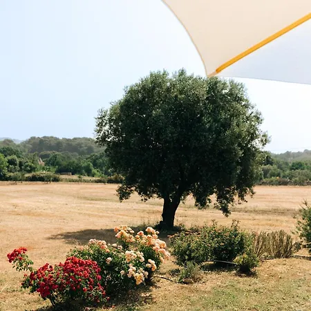 Trullo Dei Cinque Cisternino