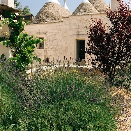 Trullo Dei Cinque Gæstehus Cisternino
