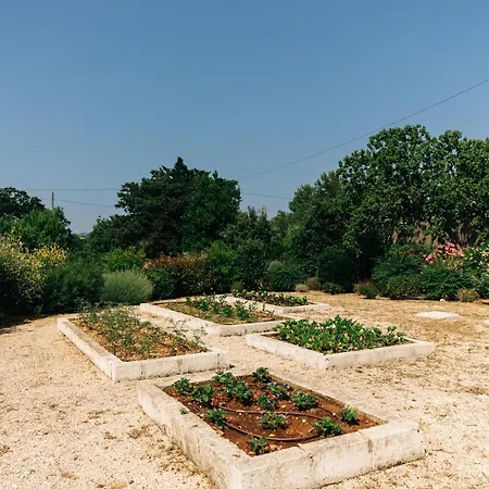 Trullo Dei Cinque * Cisternino