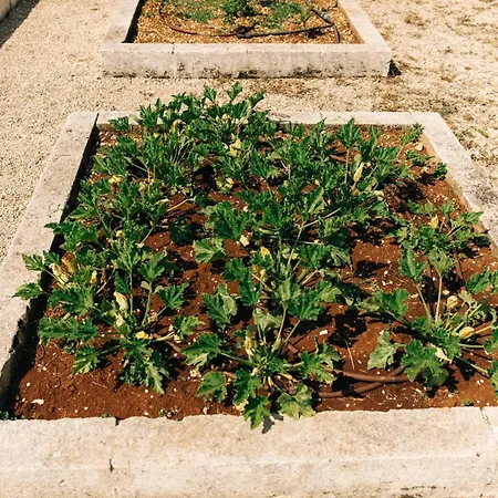 Trullo Dei Cinque Cisternino