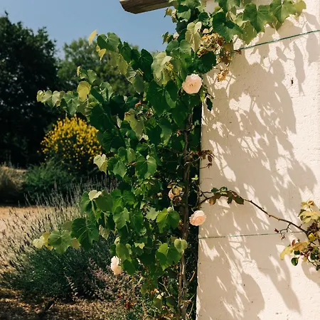 Gæstehus Trullo Dei Cinque Cisternino