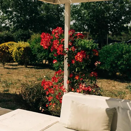 Gæstehus Trullo Dei Cinque