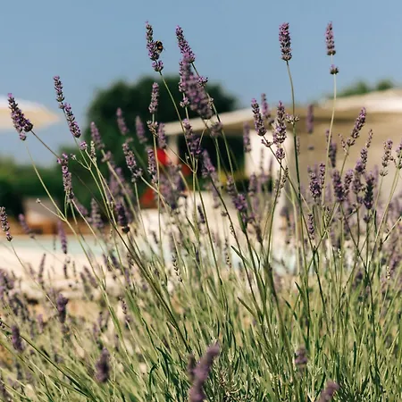 Trullo Dei Cinque *