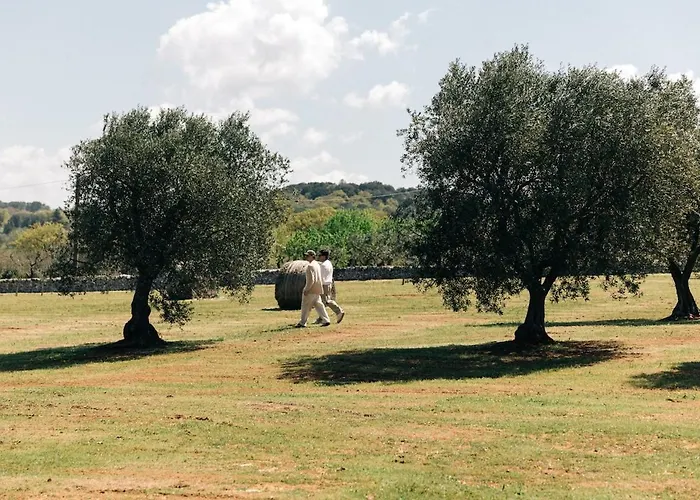 Trullo Dei Cinque チステルニーノ